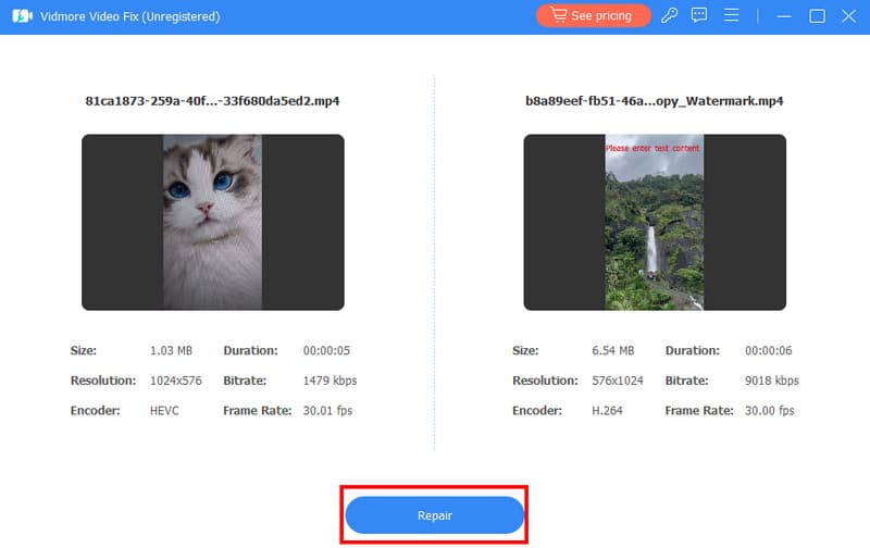 Repair Gopro Video Vidmore