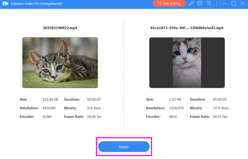 Repair Video Preview Vidmore