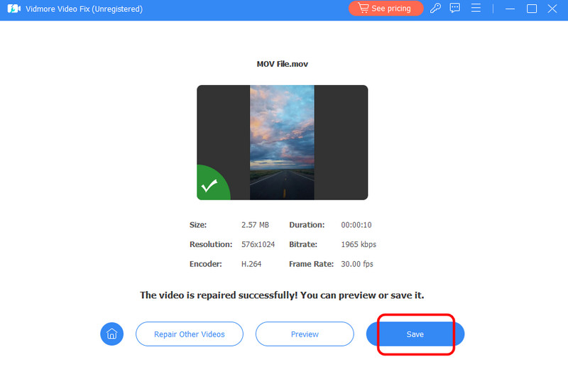 Speichern‑Schaltfläche Vidmore