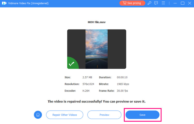 Netflix‑Video mit Vidmore speichern