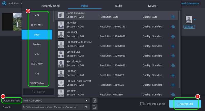 Format wählen Video konvertieren Vidmore