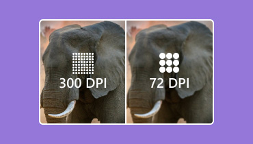 Was ist DPI?