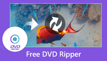 2025 Top 10 Free DVD Ripper für Windows und Mac