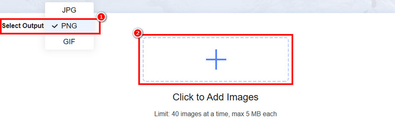 Ausgabeformat wählen Vidmore