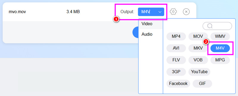 Ausgabe Video M4V Vidmore