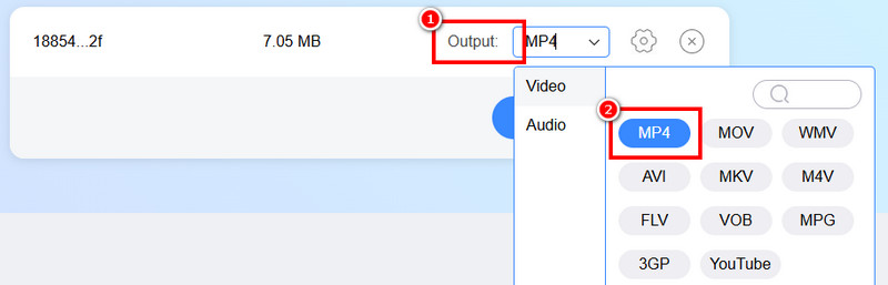 Ausgabebereich MP4 – Vidmore