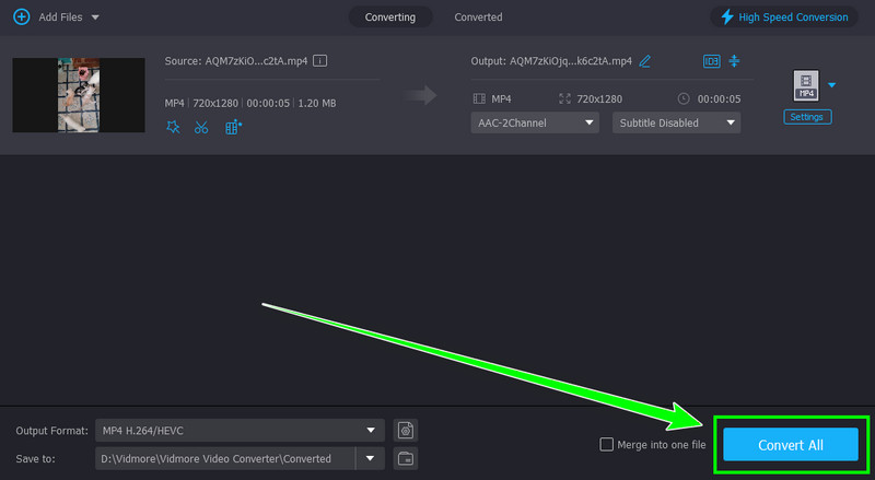 Alles konvertieren Vidmore