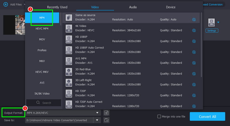 Ausgabeformat MP4 Vidmore