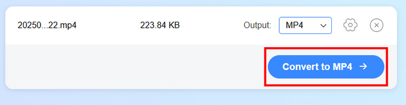 Schaltfläche „Konvertieren“ Vidmore