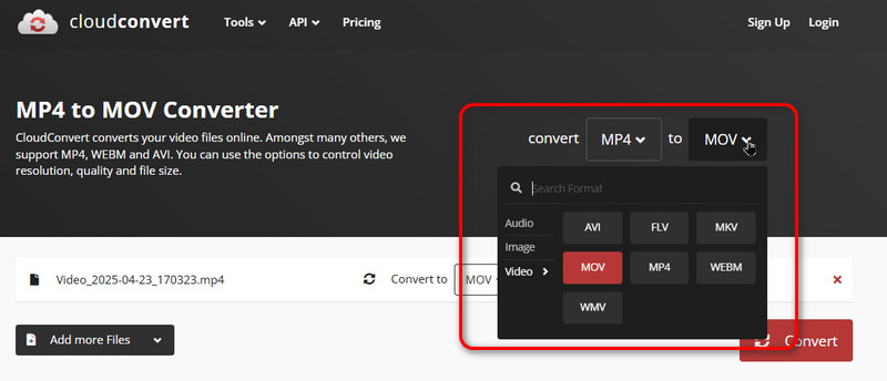 CloudConvert Format wählen