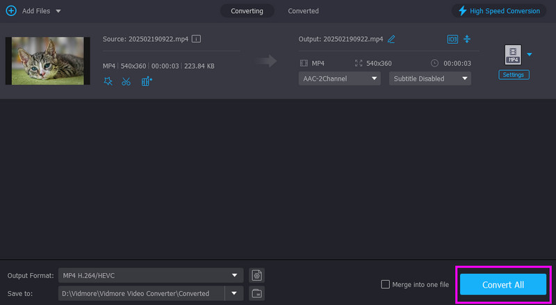 Alles konvertieren Vidmore