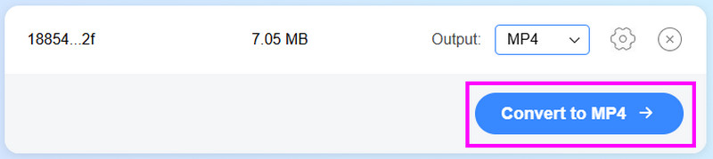 In MP4 konvertieren Vidmore