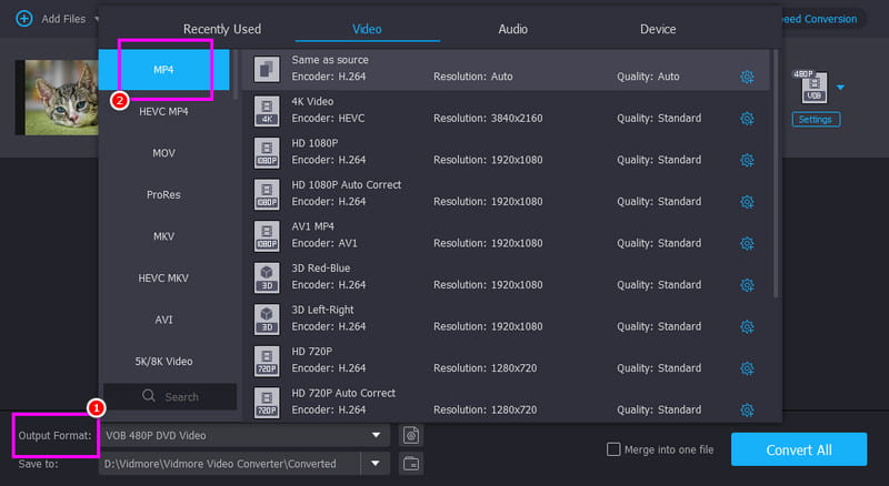 Ausgabeformat MP4 Vidmore
