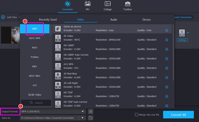 Ausgabeformat MP4 Vidmore