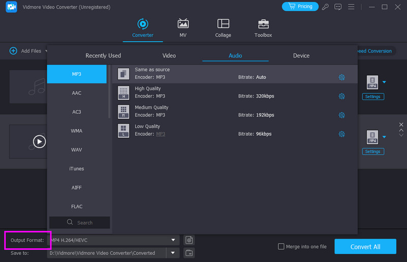 Ausgabeformat Vidmore