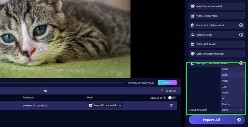 Ausgabeauflösung Vidmore