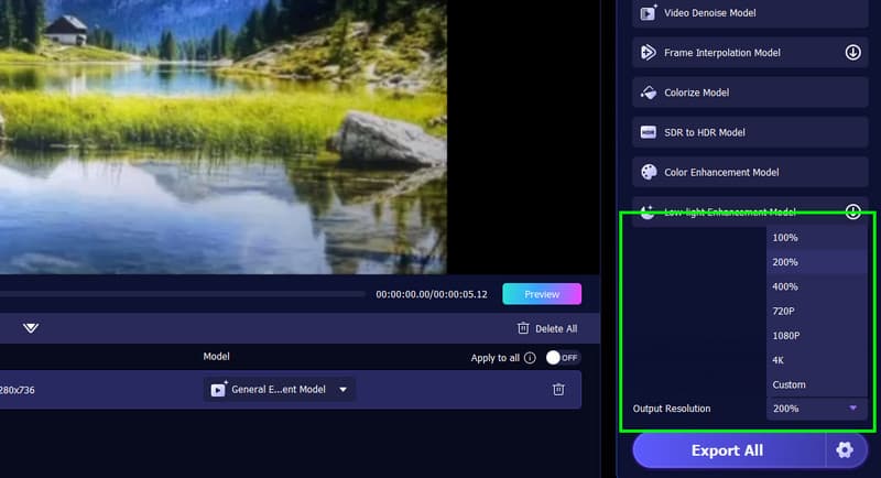 Ausgabeauflösung Vidmore