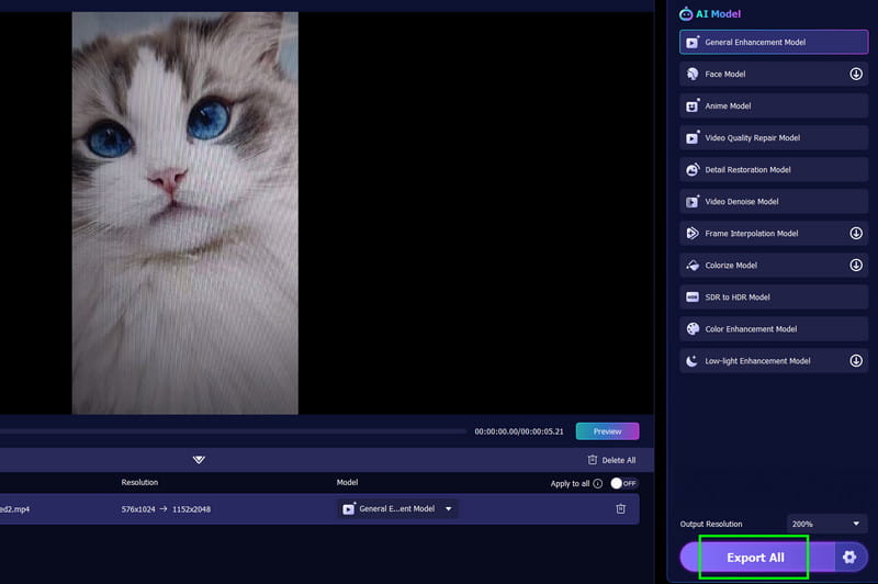 Alles exportieren Vidmore