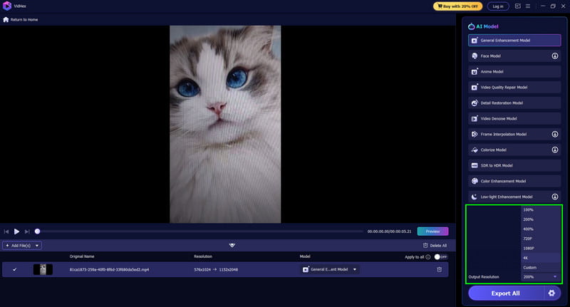 Ausgabeauflösung Vidmore