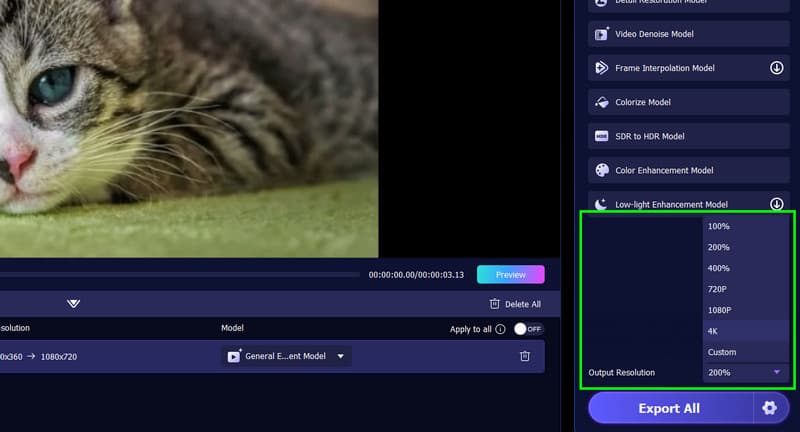 Ausgabeauflösung Vidmore