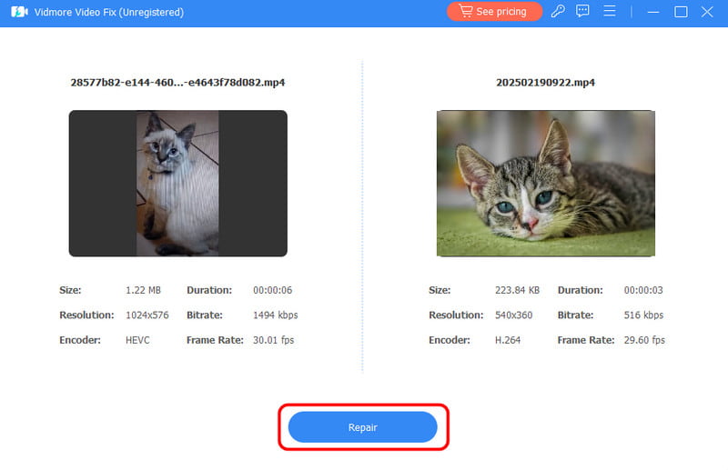 Schaltfläche „Reparieren“ – Vidmore