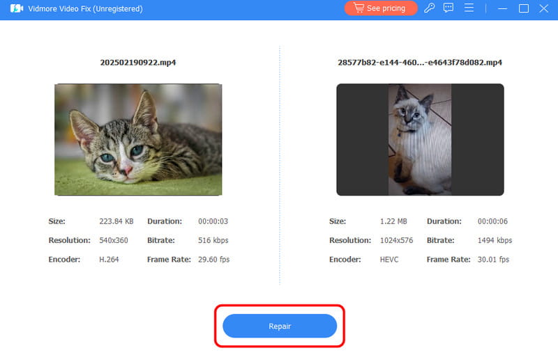 Schaltfläche „Reparieren“ – Vidmore