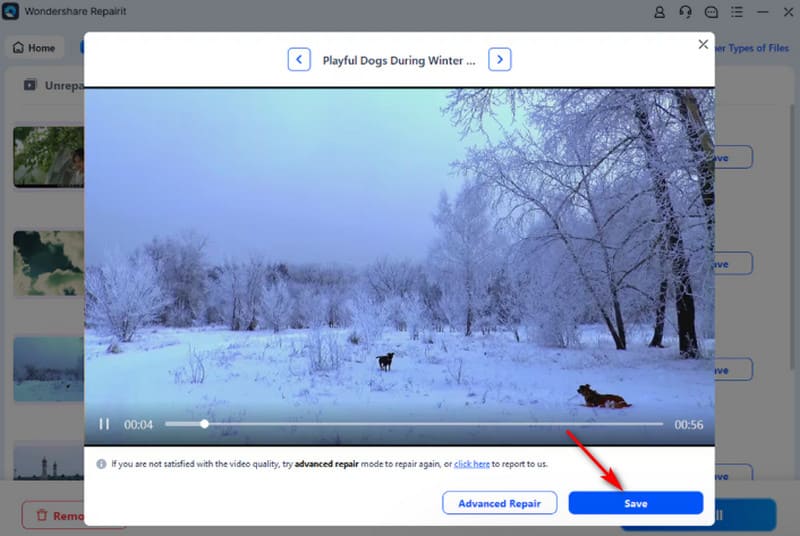 Wondershare Vorschau