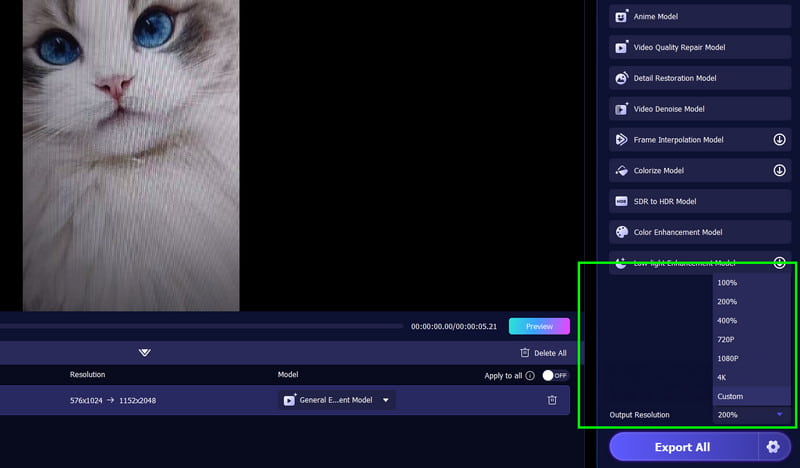Ausgabeauflösung Vidmore