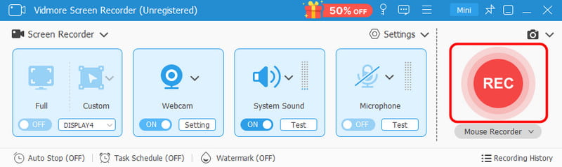 REC-Button in Vidmore