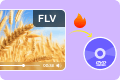 FLV zu DVD