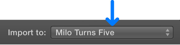Schaltfläche „Importieren“