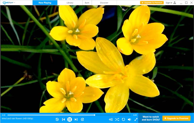 RealPlayer zum Abspielen von RMVB-Dateien