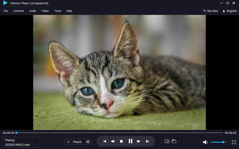 Video ansehen Vidmore