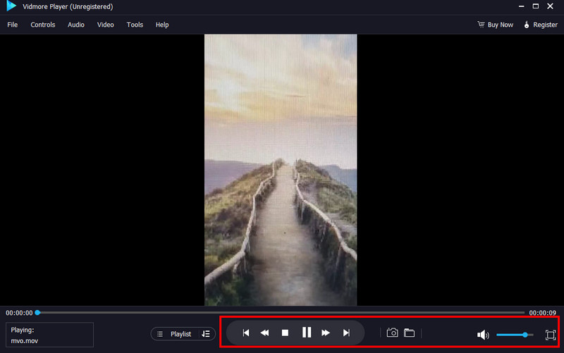 Video ansehen Vidmore